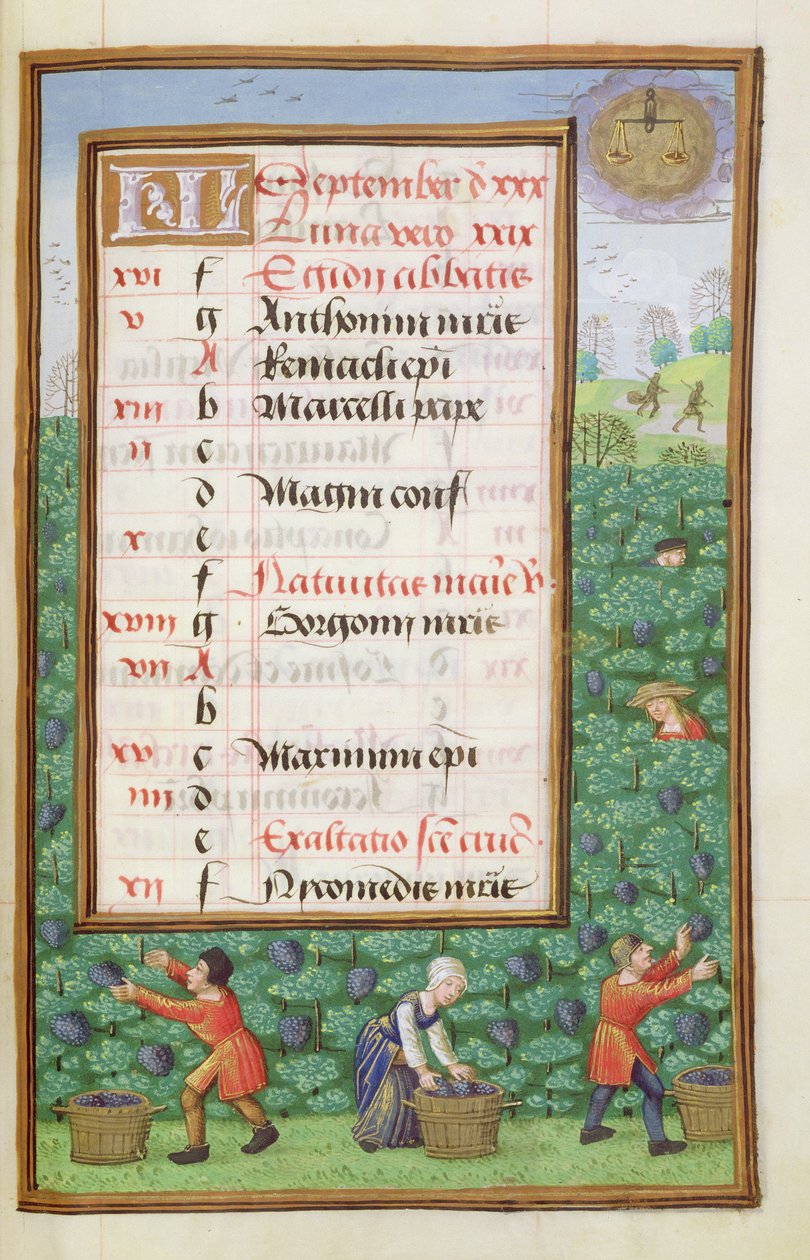 Ms 1058-1975 f9r Gathering Grapes, oplyst kalenderside for september, fra a Book of Hours, ca. 1500 af Flemish School