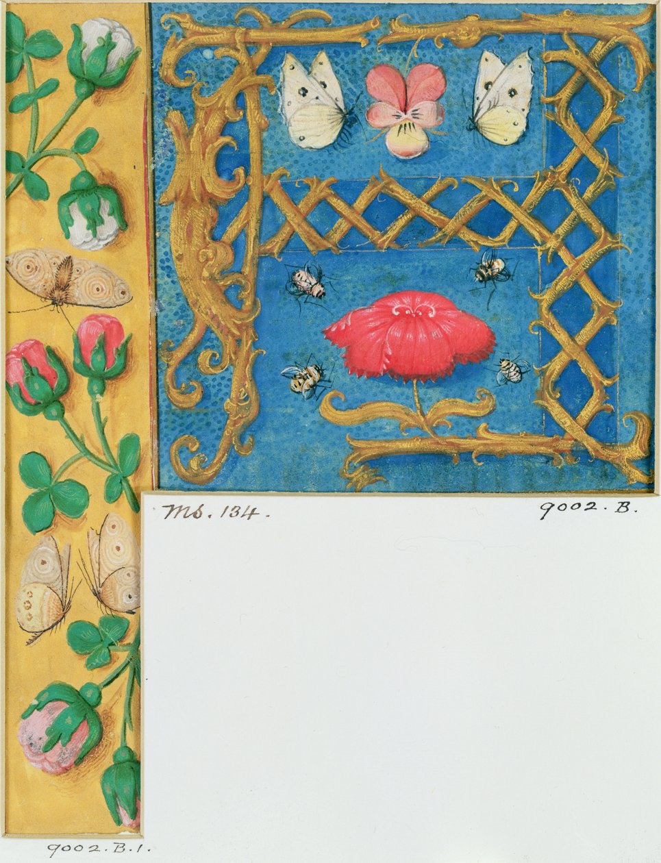 Ms 134 Oplyst bogstav `A og sidekant af blomster, fra en timebog, ca. 1500 af Flemish School