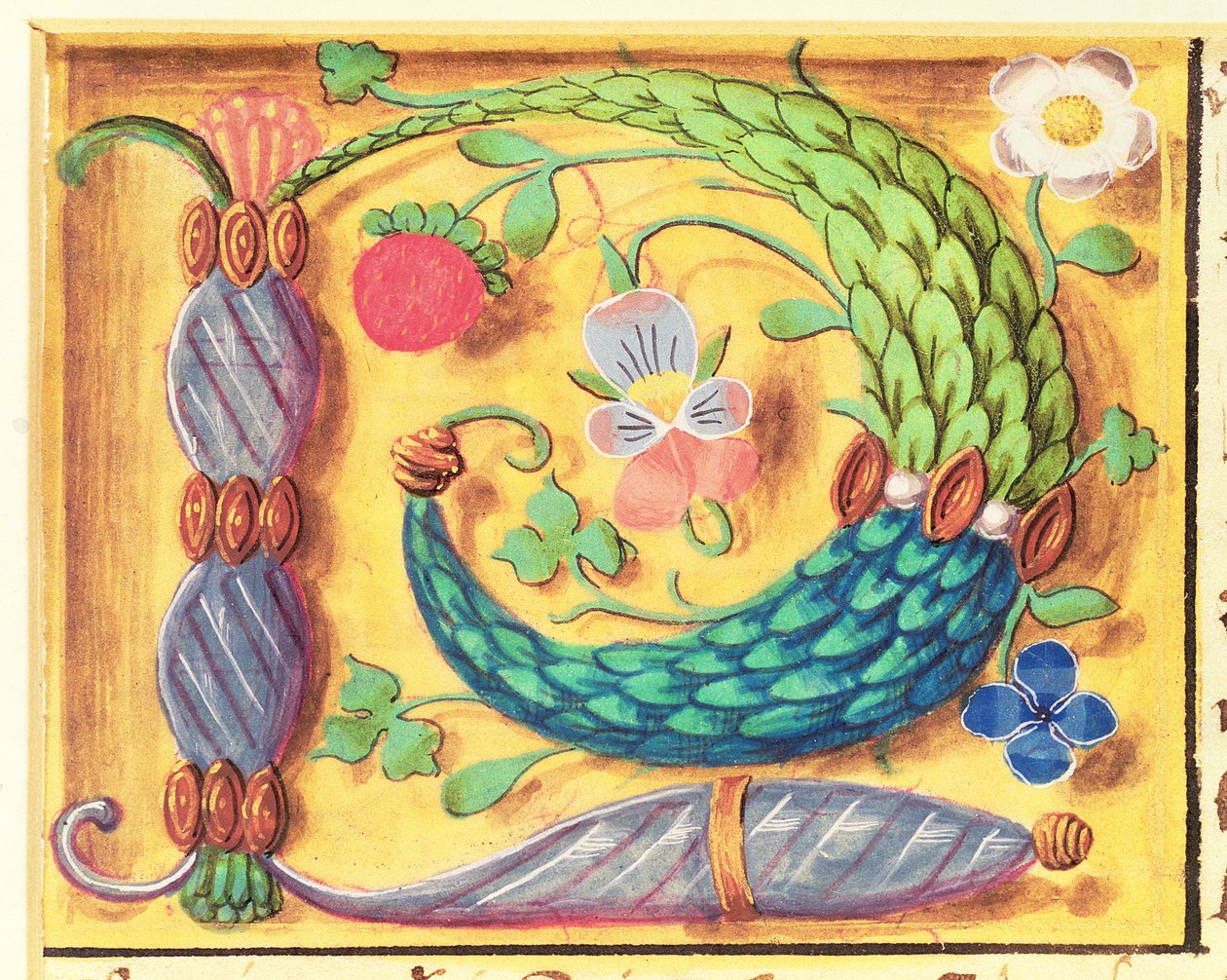 Ms 134 Oplyst bogstav `P dekoreret med blomster, fra en timebog, ca. 1500 af Flemish School