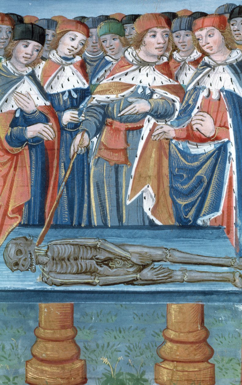 Ms Hunter 9 30v Dissection, fra De Medina Fen I. II, af Avicenna (980-1037) af Flemish School