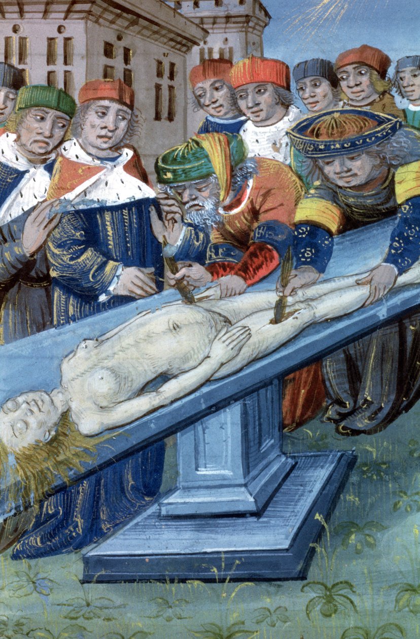 Ms Hunter 9 f.22r Dissection, fra De Medina Fen I. II, af Avicenna (980-1037) af Flemish School