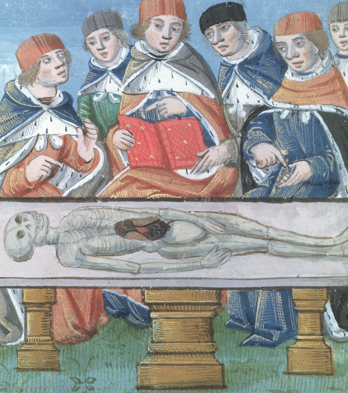 Ms Hunter 9 f.34r Dissection, fra De Medina Fen I. II, af Avicenna (980-1037) af Flemish School