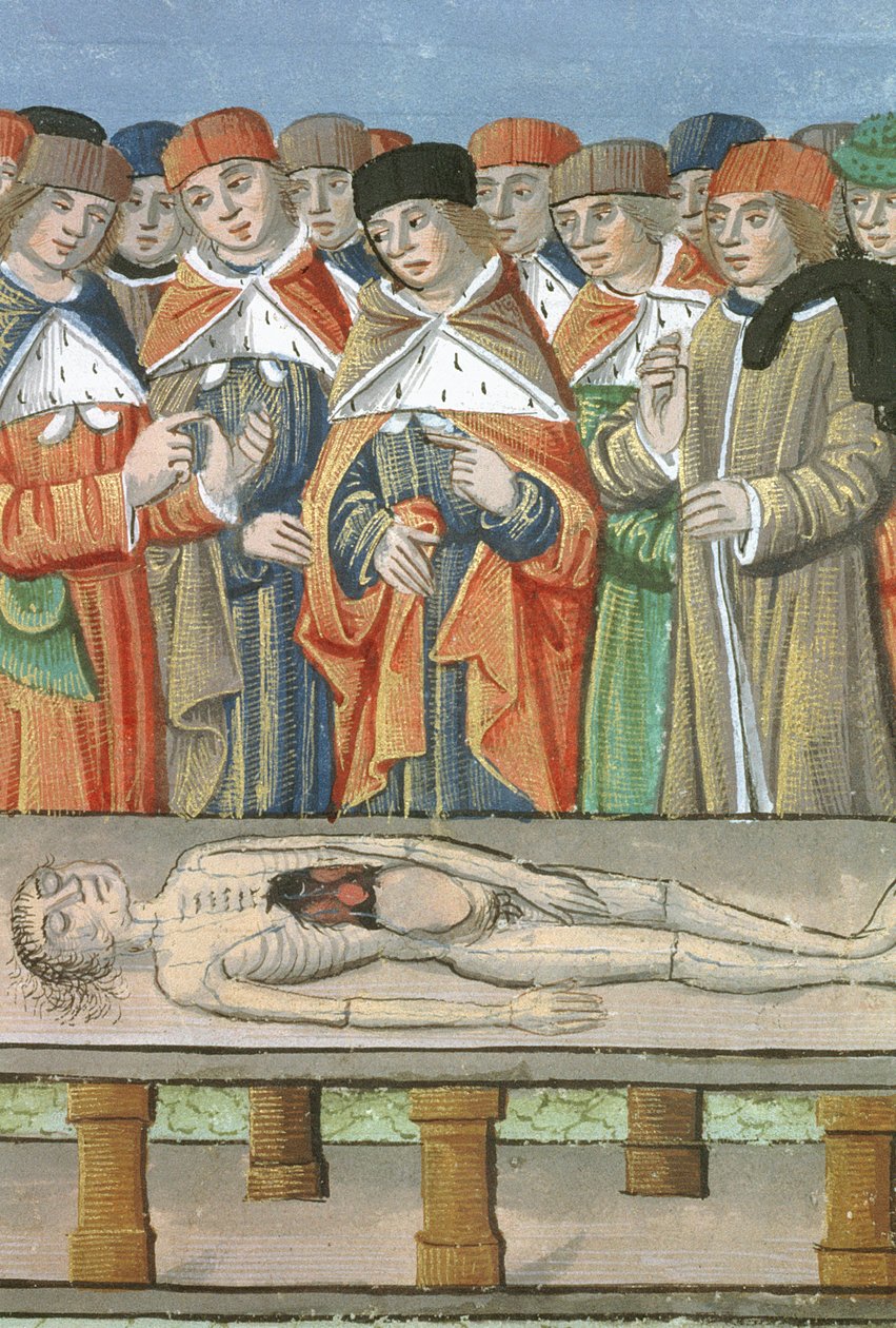Ms Hunter 9 f.36r Dissection, fra De Medina Fen I. II, af Avicenna (980-1037) af Flemish School