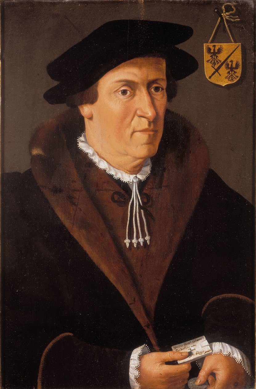 Portræt af Jan de Fevere, ca. 1540-59 (olie på panel) af Flemish School