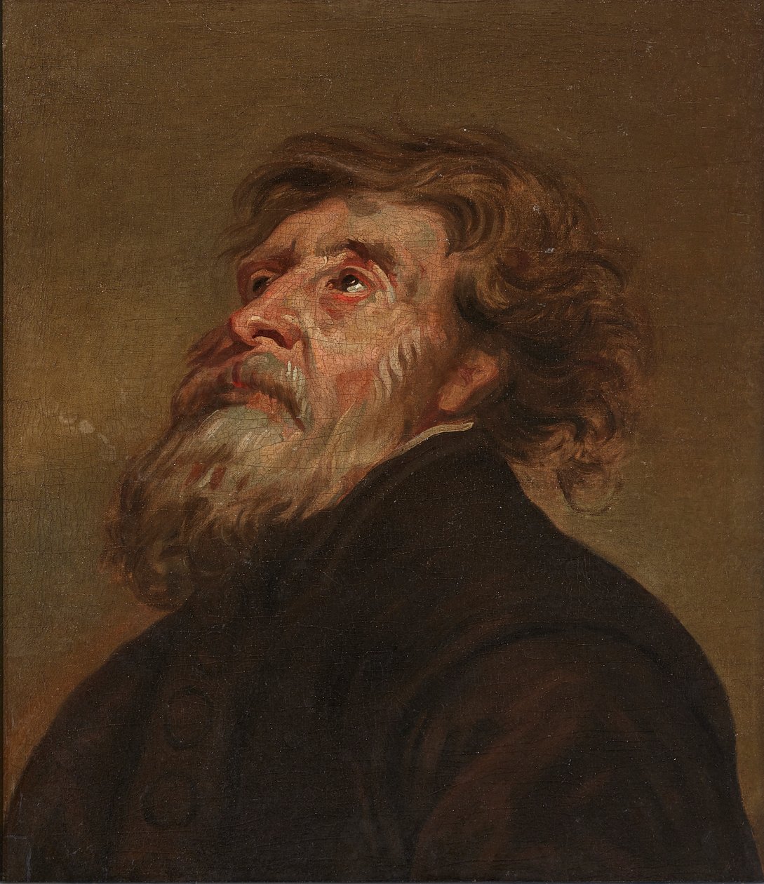 Study of a Man (olie på lærred) af Flemish School