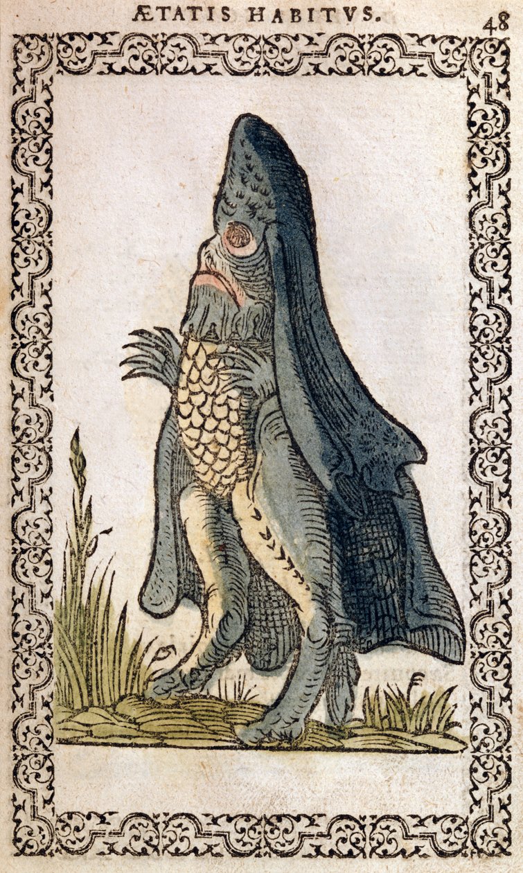Havbiskoppen eller søuhyret, illustration fra The Habits and Portraits of Almost All Nations and Contemporary Nations af Jean Sluperji, Antwerpen, 1572 (farvet træsnit) af Flemish School