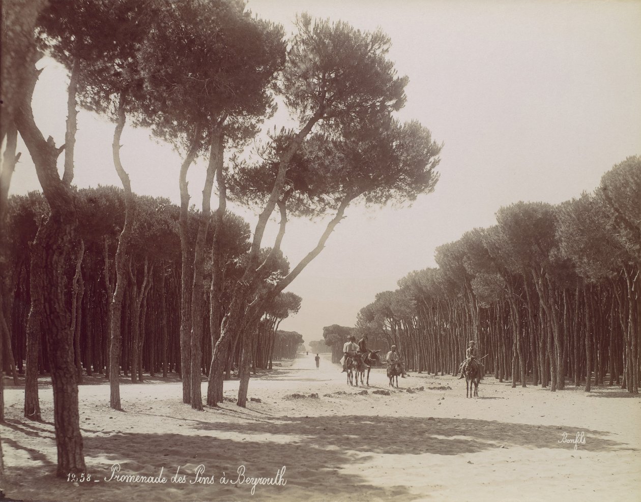 Promenade des Pins i Beirut, ca. 1870. af Félix Bonfils