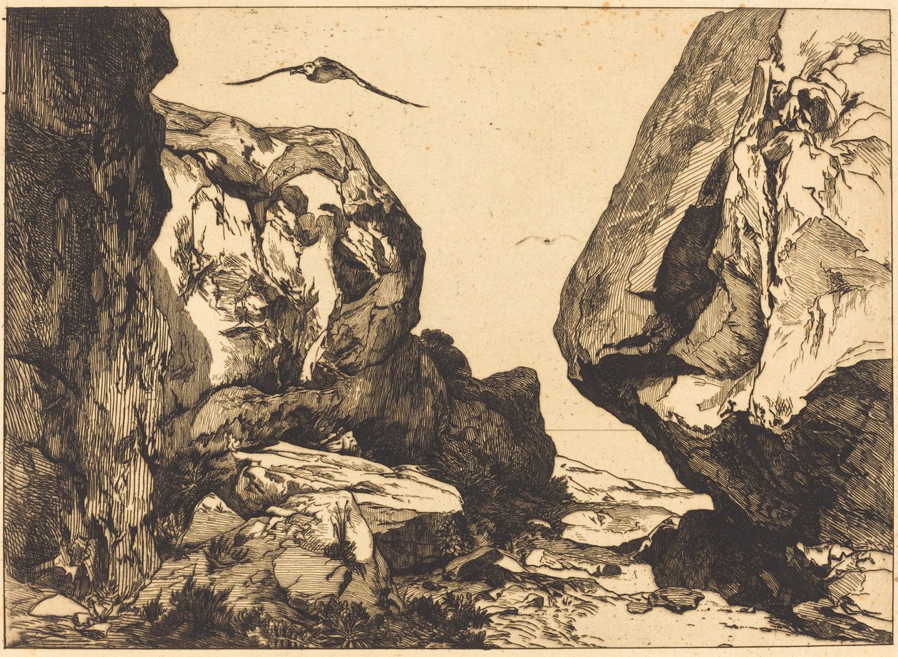 Gorge in the Rocks af Félix Bracquemond after Jules Laurens