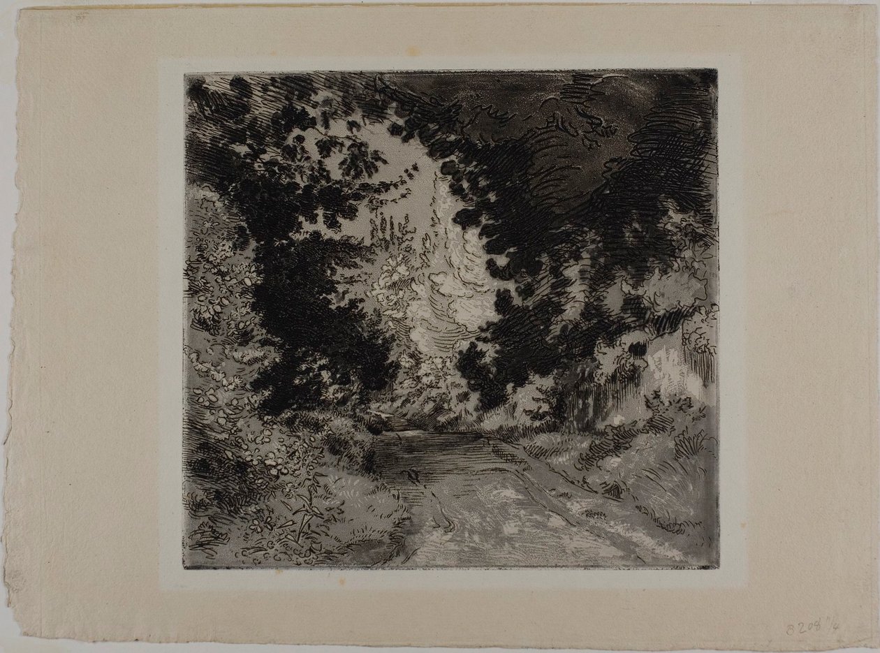 Chemin de Coutures i Sèvres af Félix Henri Bracquemond