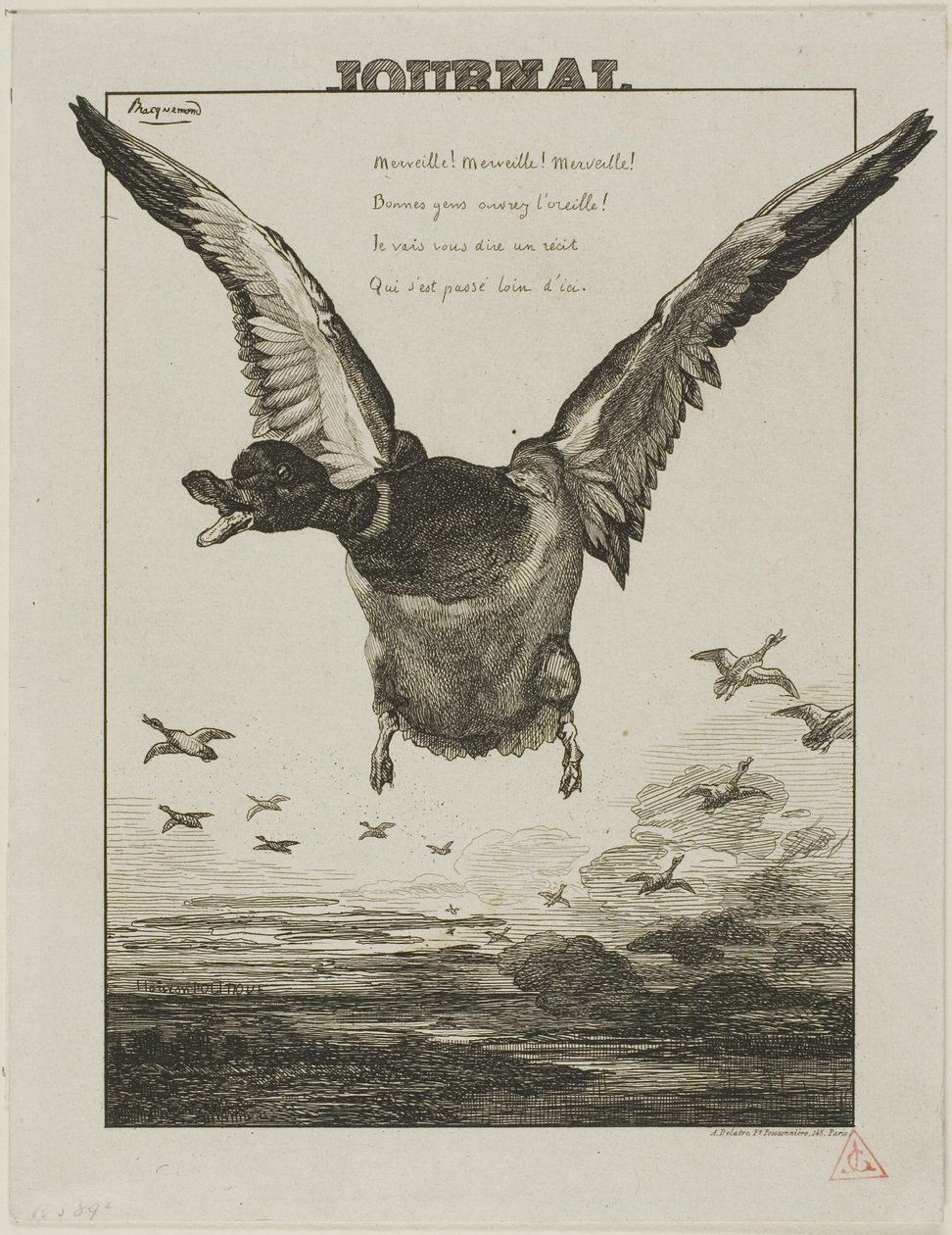 Anden af Félix Henri Bracquemond