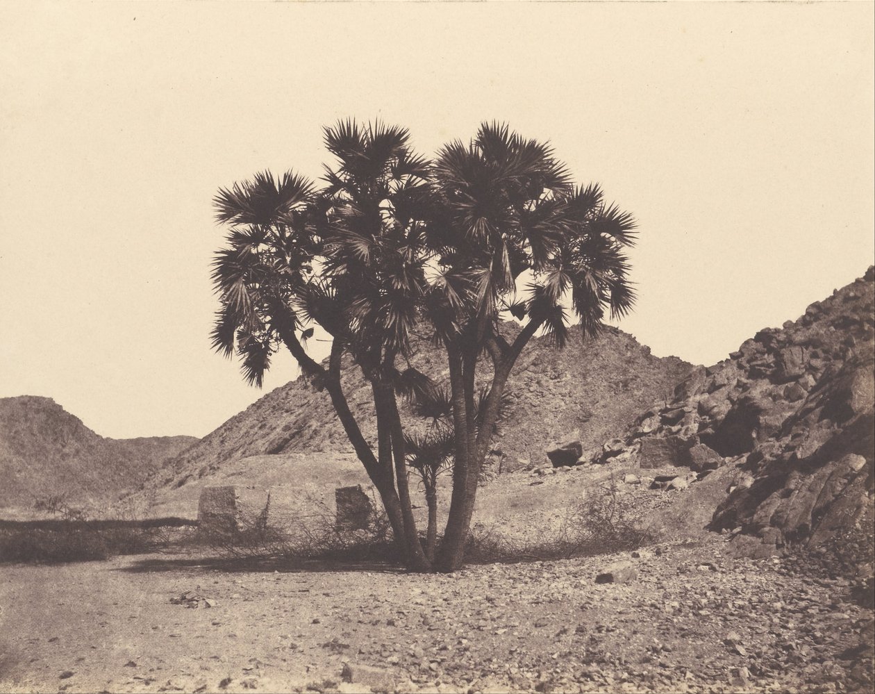 Egypten og Nubia. Steder og monumenter ... Atlasfotograf ... Anden del. Nubia af Félix Teynard