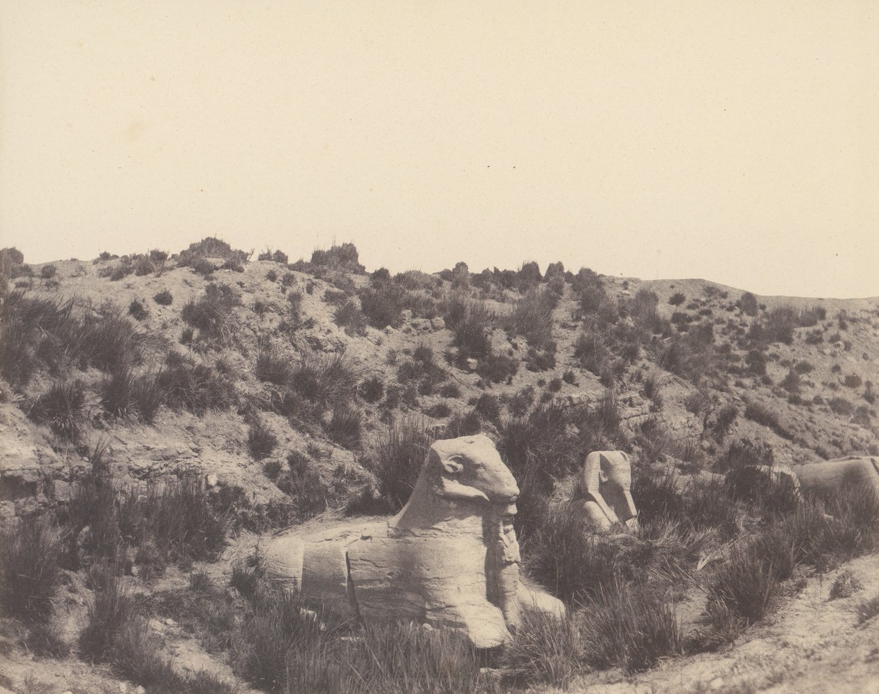 Karnak Theben, Sfinx med menneskehoved og ramshoved, i Y, 1851-52, trykt 1853-54. af Félix Teynard