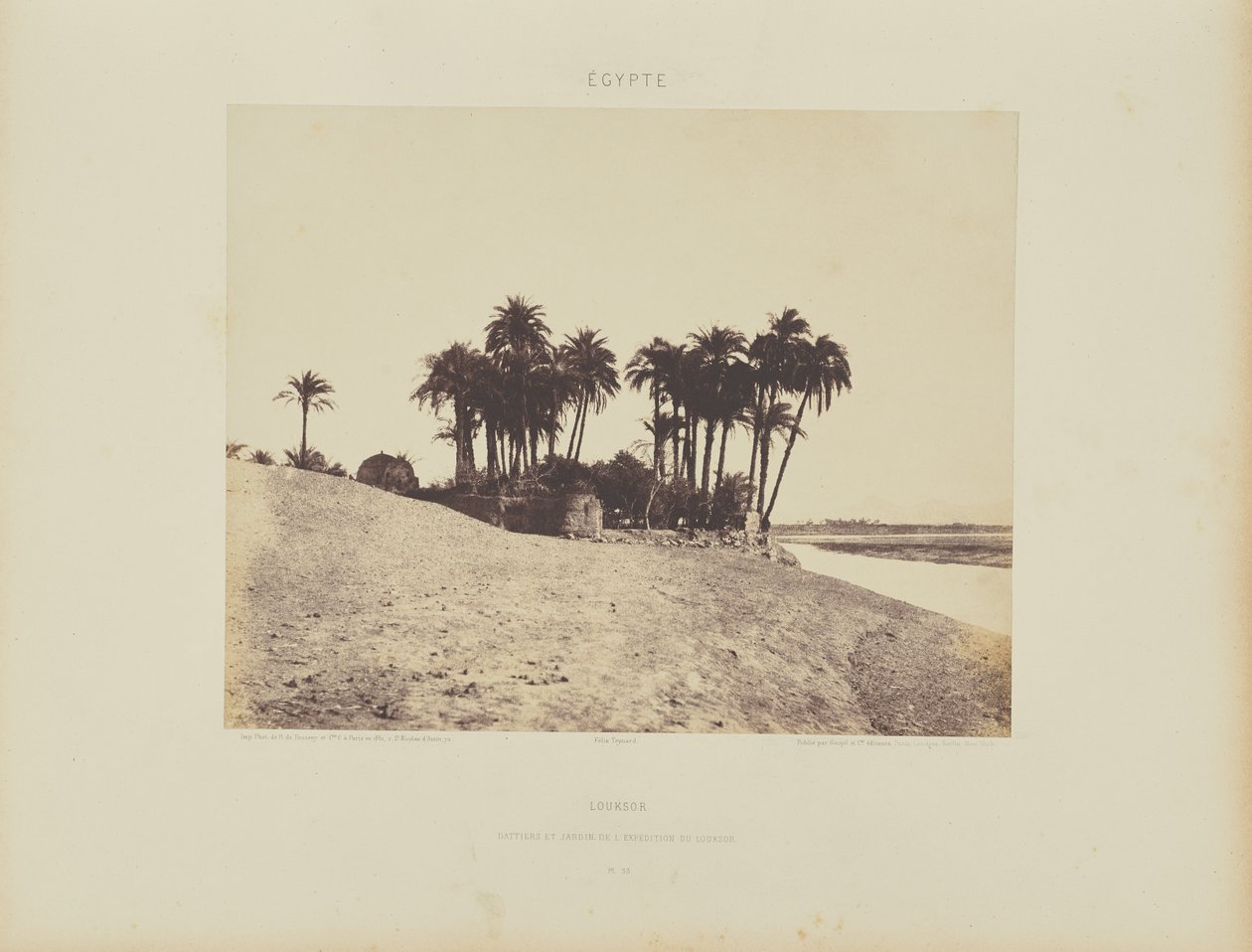 Luxor. Daddelpalmer og Luxor Expedition Garden af Félix Teynard