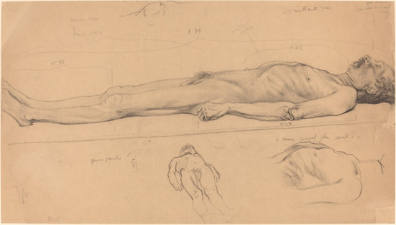 The Corpse (Studie for The Dead Christ) af Félix Vallotton