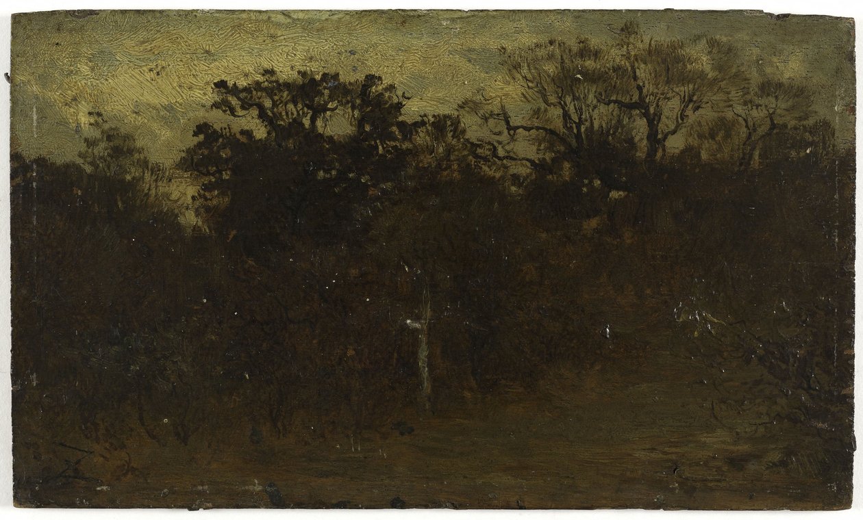 Forest corner, mellem 1850 og 1860 (olie på træ) af Félix Ziem