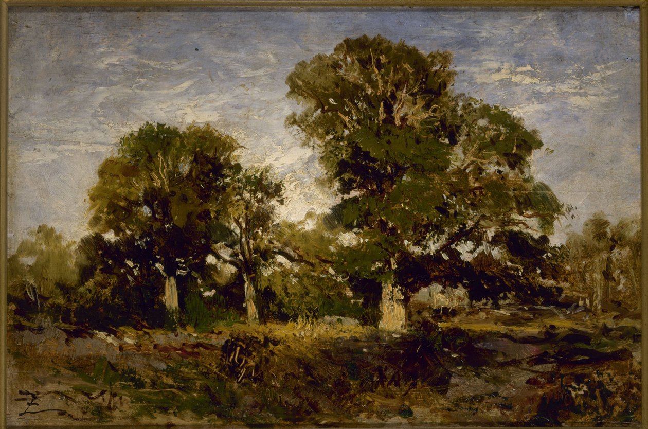 The oaks, mellem 1850 og 1860 (olie på træ) af Félix Ziem