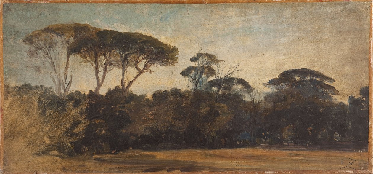 Paraply-fyrretræer nær Napoli, ca. 1847 (olie på papir på lærred) af Félix Ziem