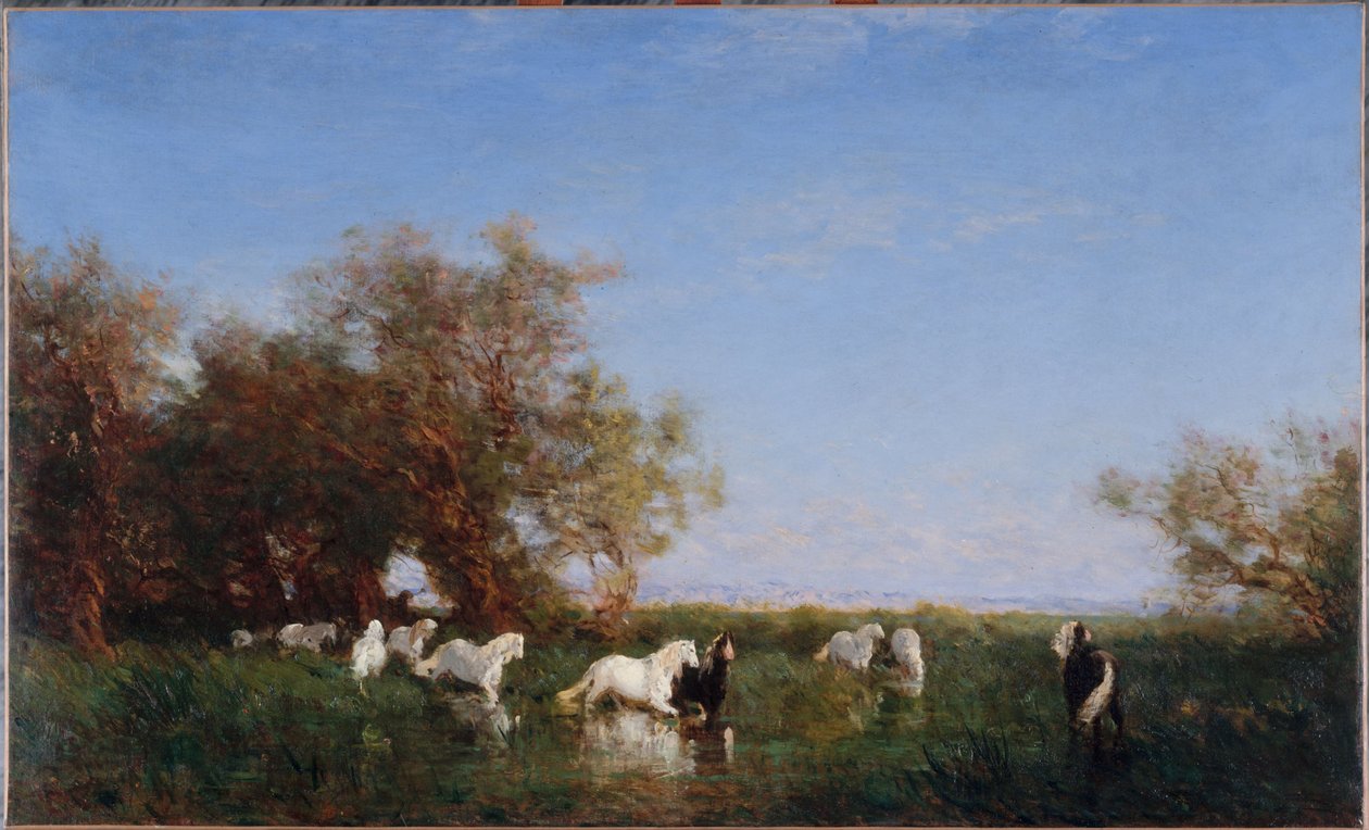 Vilde heste i Camargue, mellem 1890 og 1895 (olie på lærred) af Félix Ziem