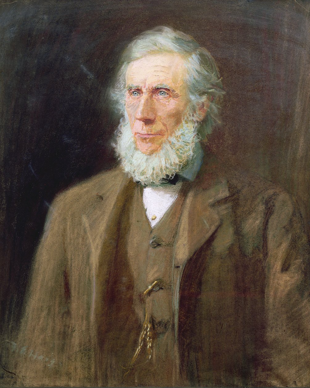 Portræt af John Tyndall (1820-93) (pastel på papir) af Florence E. Haig