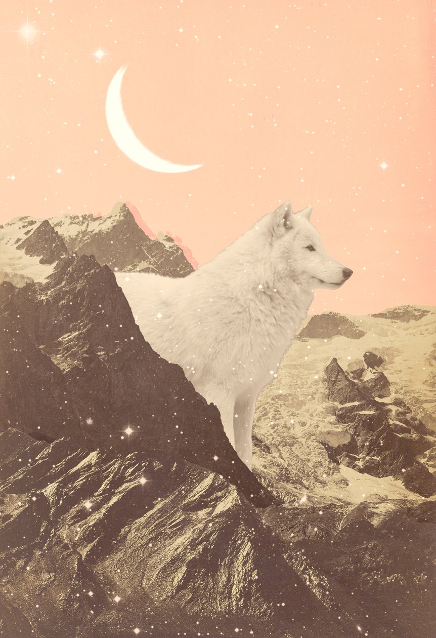Giant Wolf in Pink Mountains, 2021 (collage) af Florent Bodart