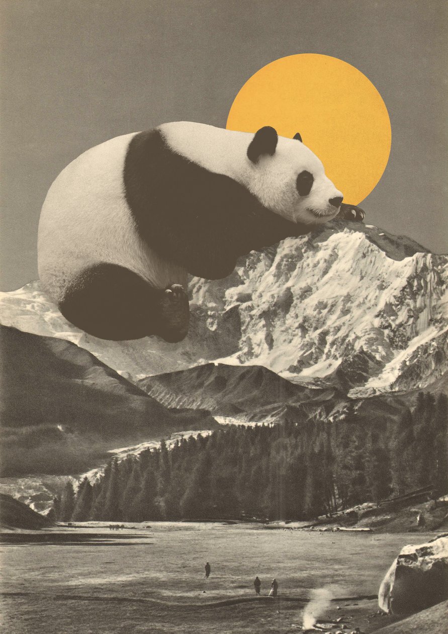 Pandas lur ind i bjergene af Florent Bodart