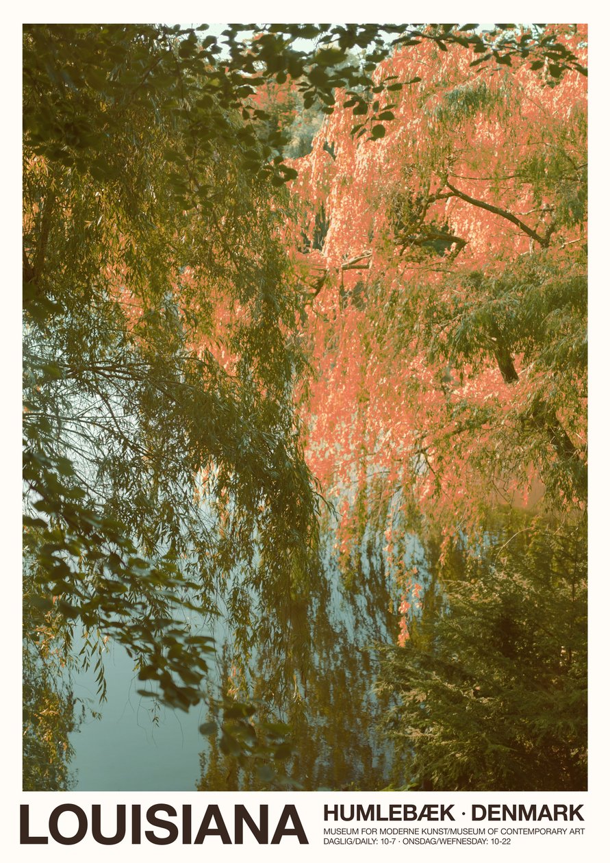 The Lake - Lousiana, 2023 (foto) af Florent Bodart