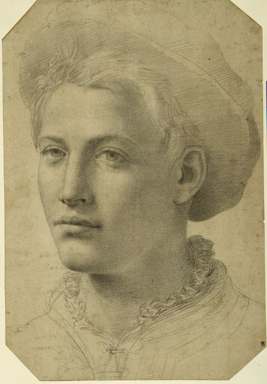 Portræthoved af en ung iført kasket, ca. 1530-40 (sort kridt på hvidt papir) af Florentine School
