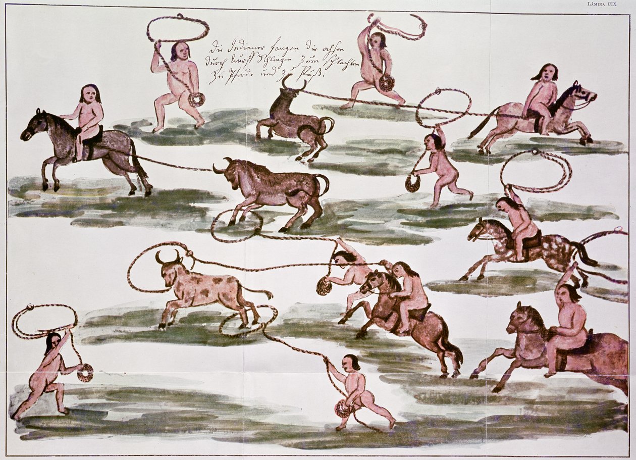 Den indiske Mocovi-jagtmetode, illustration fra 