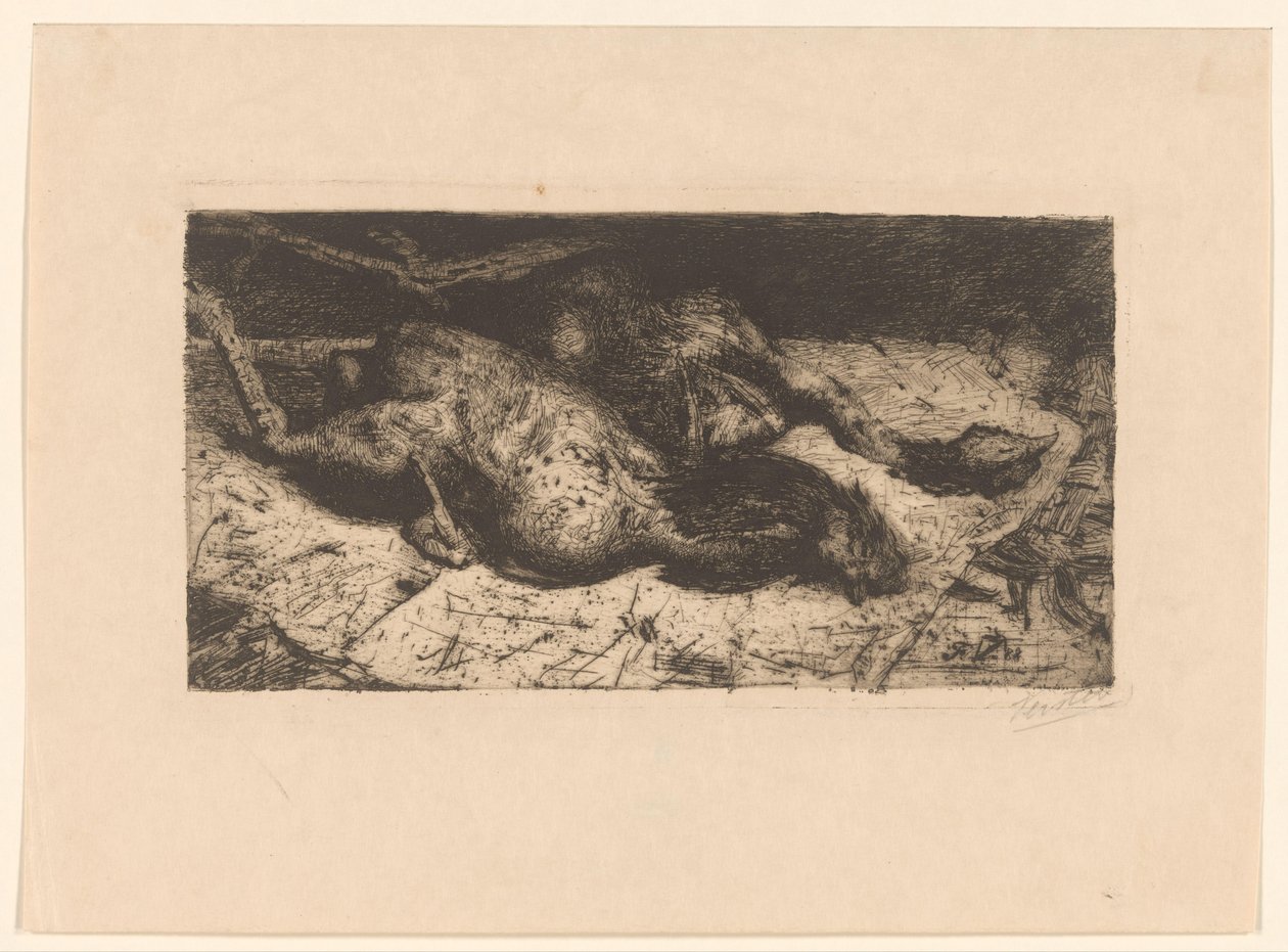 Fik hanen (originalt titel) af Floris Verster (signed by artist)