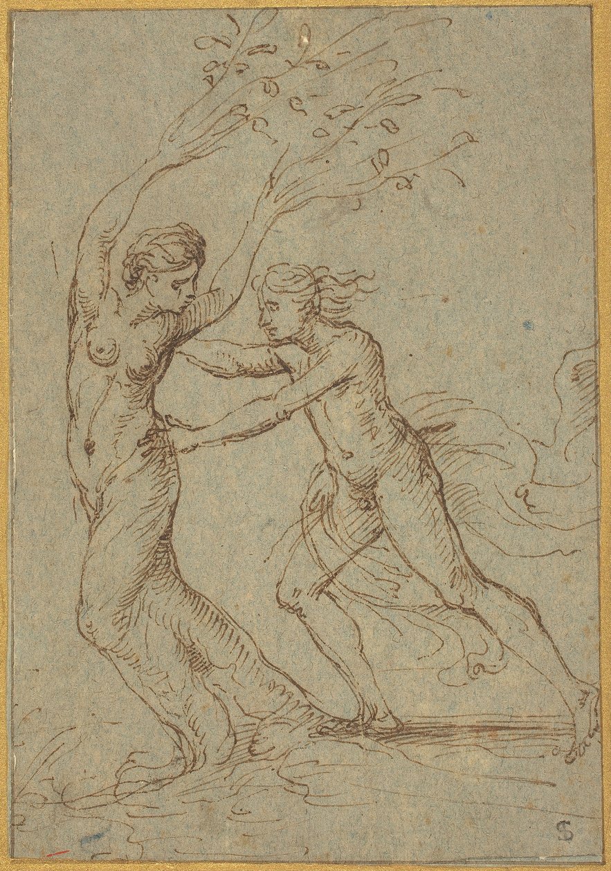 Apollo og Daphne af Follower of Giulio Romano
