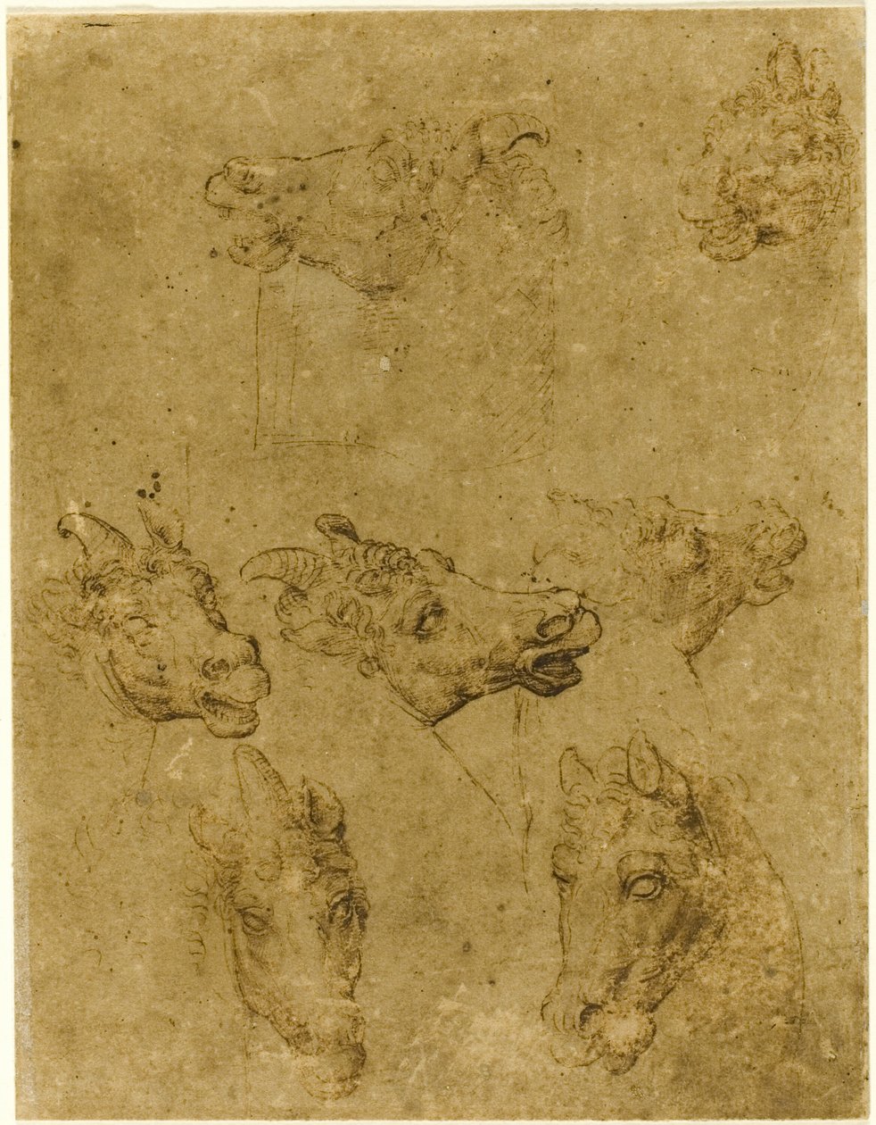 Hoveder af heste og enhjørninger af Follower of Leonardo da Vinci