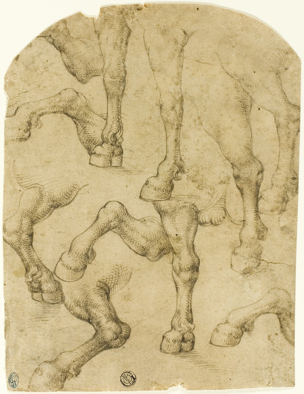 Skitser af hestes (eller dromedarers) ben (recto); søjler (verso) af Follower of Leonardo da Vinci