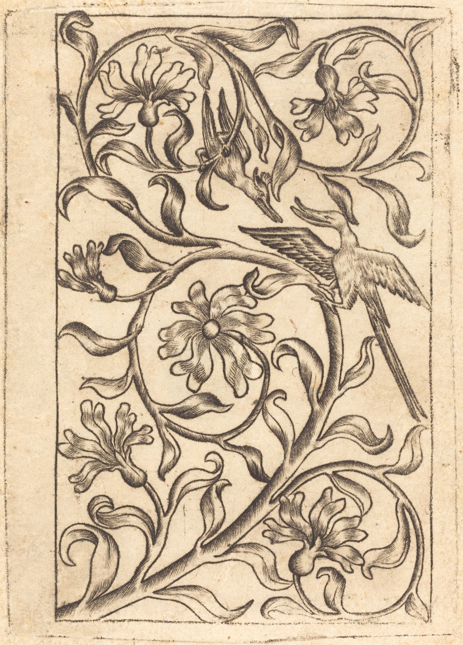 Vinranke ornament med to fugle af Follower of Master of the Playing Cards