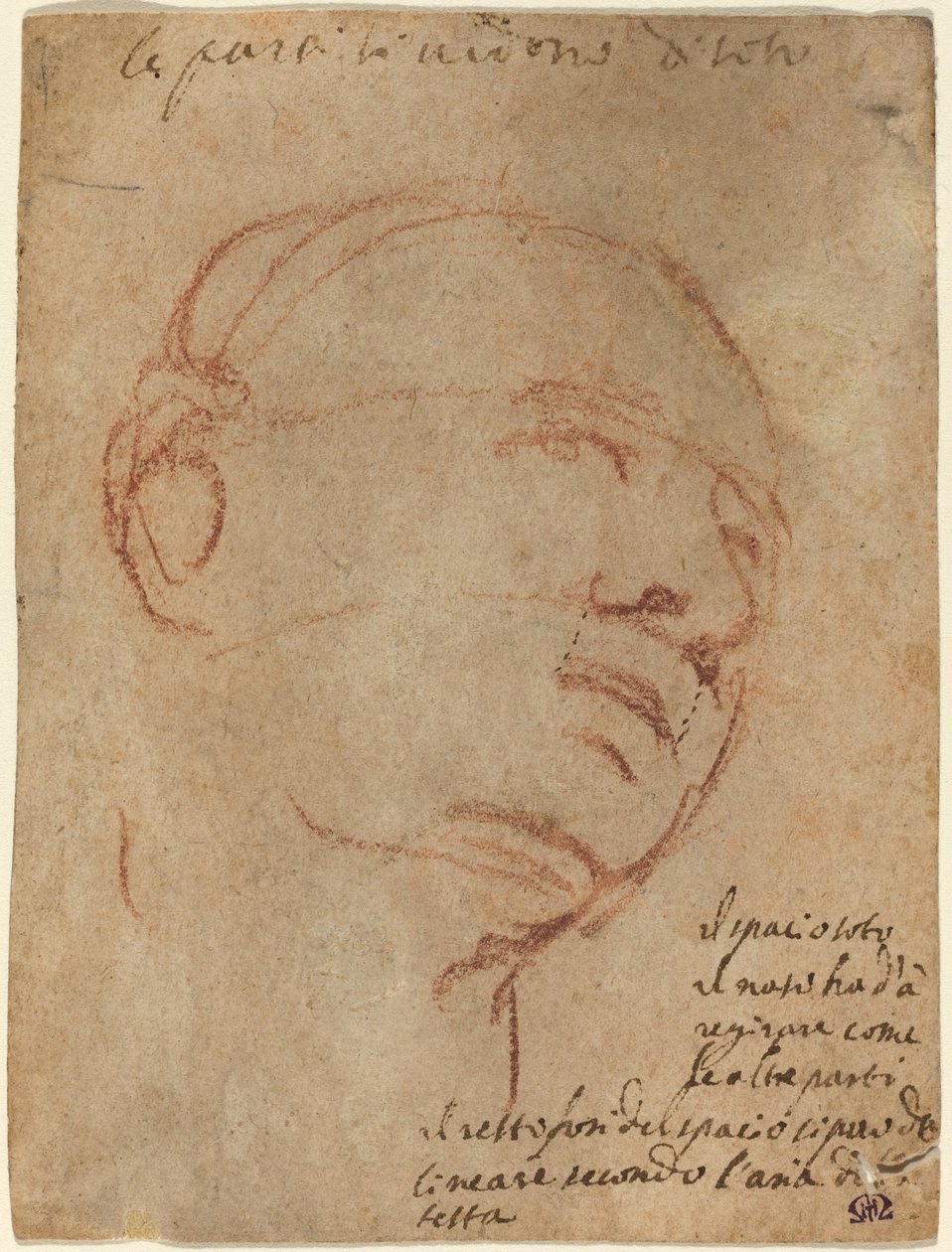 Hoved af en mand af Follower of Michelangelo