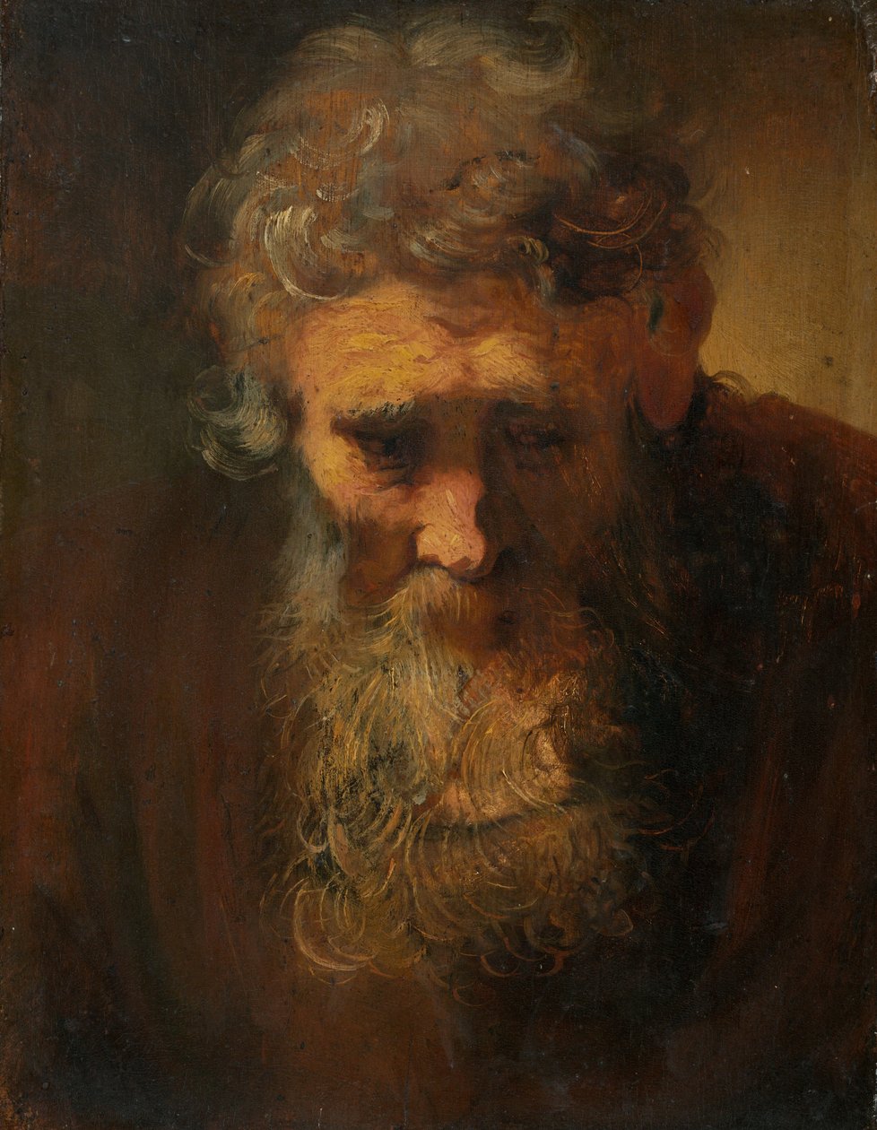 Studie af en gammel mand af Follower of Rembrandt van Rijn