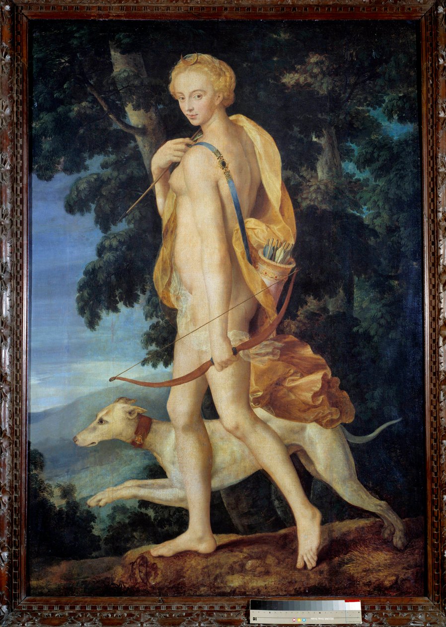 Gudinden bevæbnet med en bue er ledsaget af en hund. Maleri af Ecole de Fontainebleau. 16. århundrede søn. 1,91 x 1,32 m - Gudinden Jægerinden Diana bevæbnet med en bue ledsaget af en hund. Maleri af skolen i Fontainebleau. 16. århundrede. 1.9 af Fontainebleau School