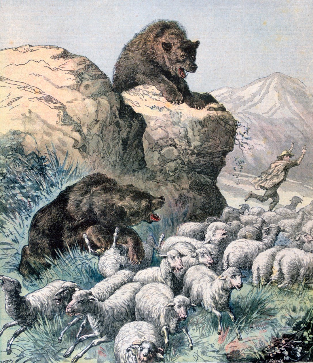 Bears of the Cagyre, 1891. af Fortuné Méaulle