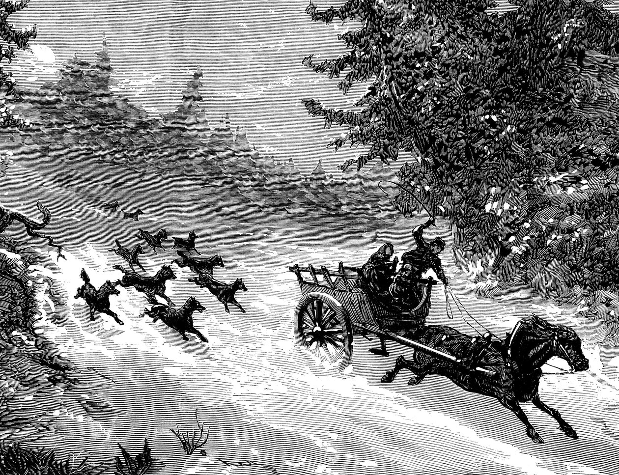 Frygten for ulven: En flok ulve forfølger en vogn med tre mennesker, trukket af en hest, der stikker af i sneen, i en skov i Ardennerne - stik af Meaulle i "The Illustrous Universe" nr. 918, januar 1872 -. af Fortune Louis Meaulle