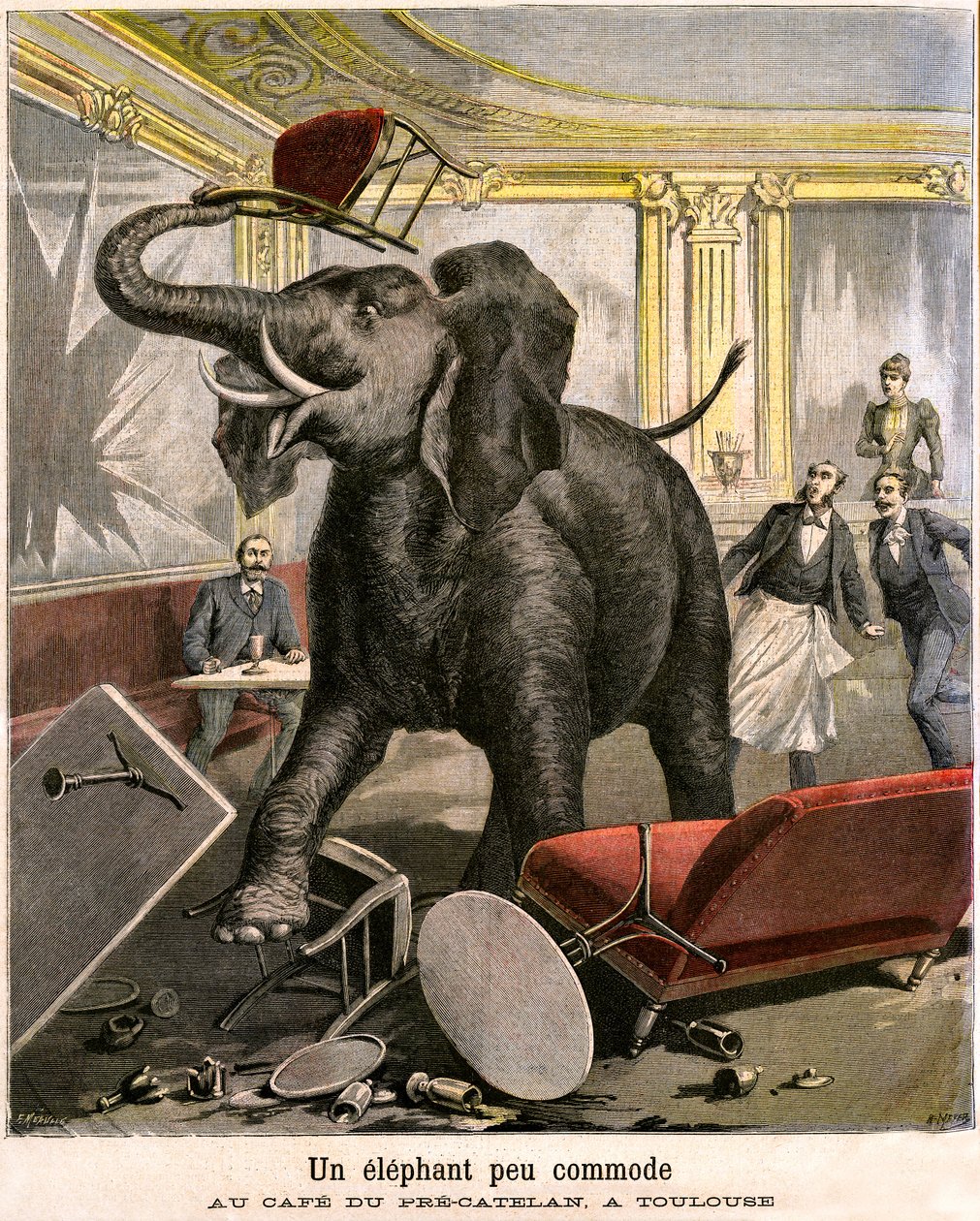 En ubehagelig elefant: Pachydermen flygter fra et cirkusmenageri bryder alt i cafeen i Pre-Catelan i Toulouse. Indgravering af Meaulle og Meyer i sidste omslag af PETIT JOURNAL-tillægget illustreret n 51 af 14. november af Fortune Louis and Meyer Henri  Meaulle