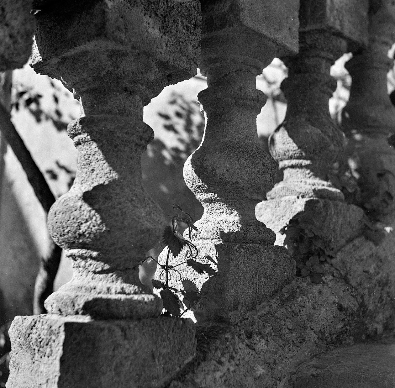 Detalje af en balustrade på Villa Bonocore Maletto Palermo af Fosco Maraini