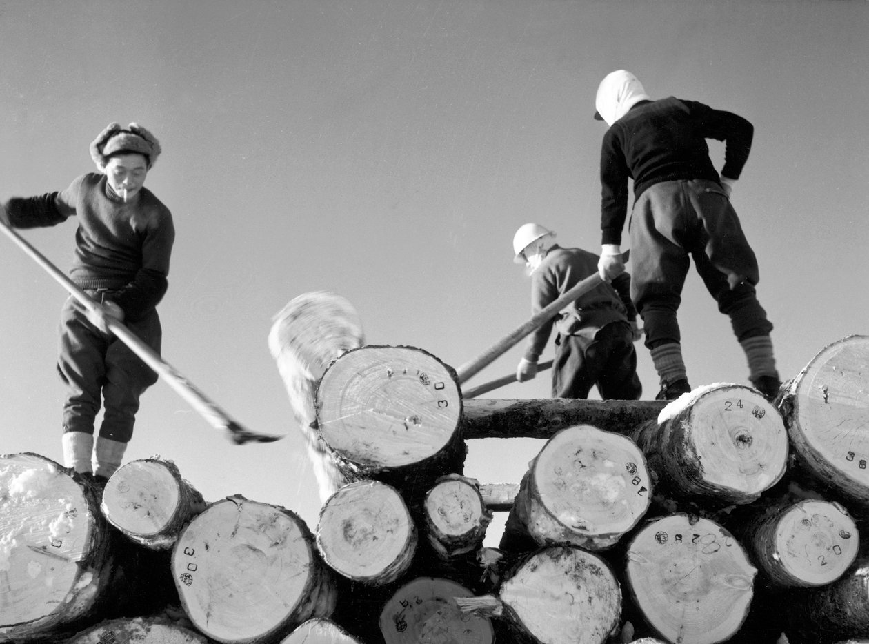 Træskærere på arbejde af Fosco Maraini