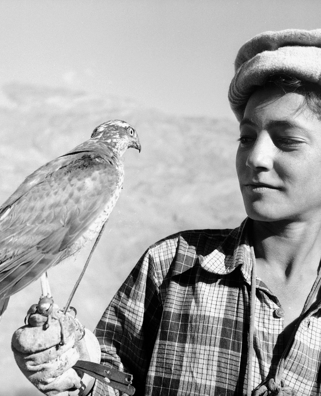 Ung falkoner fra Chitral på Hindu-Kush, et bjerg i Centralasien af Fosco Maraini