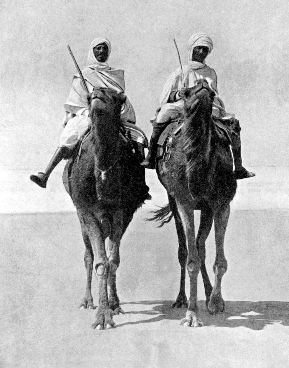To arabere rider på kameler i Sahara-ørkenen, Afrika, 1936. af Fox Photos