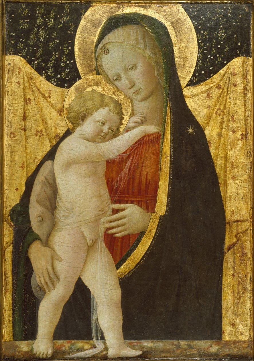 Madonna med barn, ca.1446-47 (tempera og guld på panel) af Fra Filippo Lippi