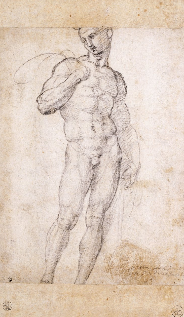 En nøgen, der holder en kappe over sine skuldre, af Fra Bartolomeo