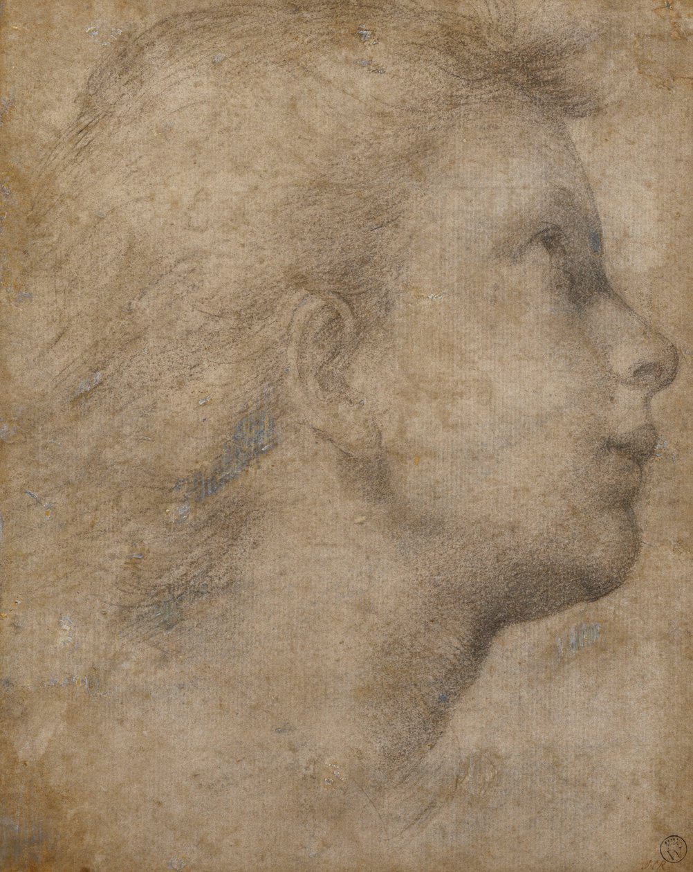 Hovedet af en engel i profil ser op til højre, af Fra Bartolomeo