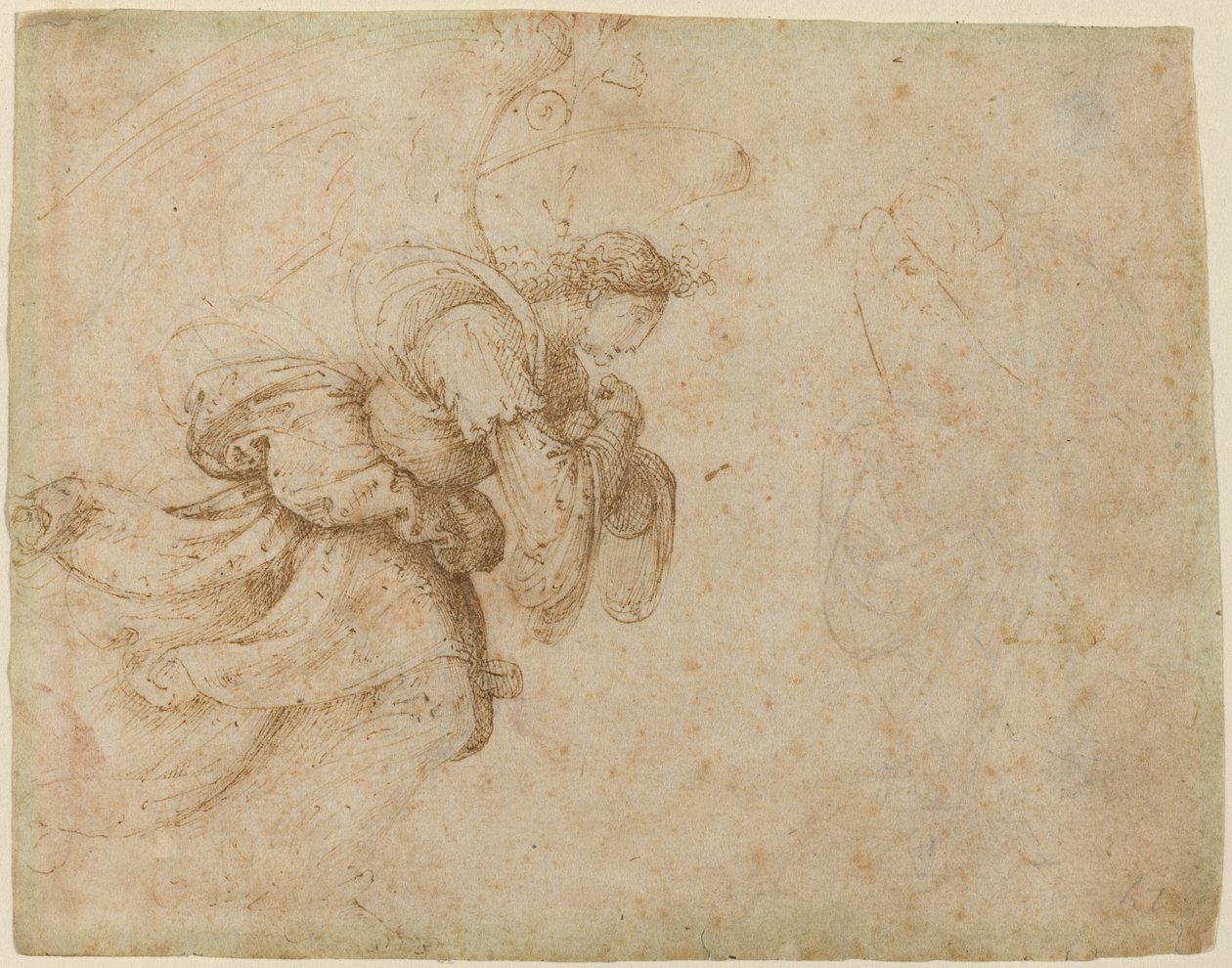 Bebudelsens engel [recto] af Fra Bartolommeo