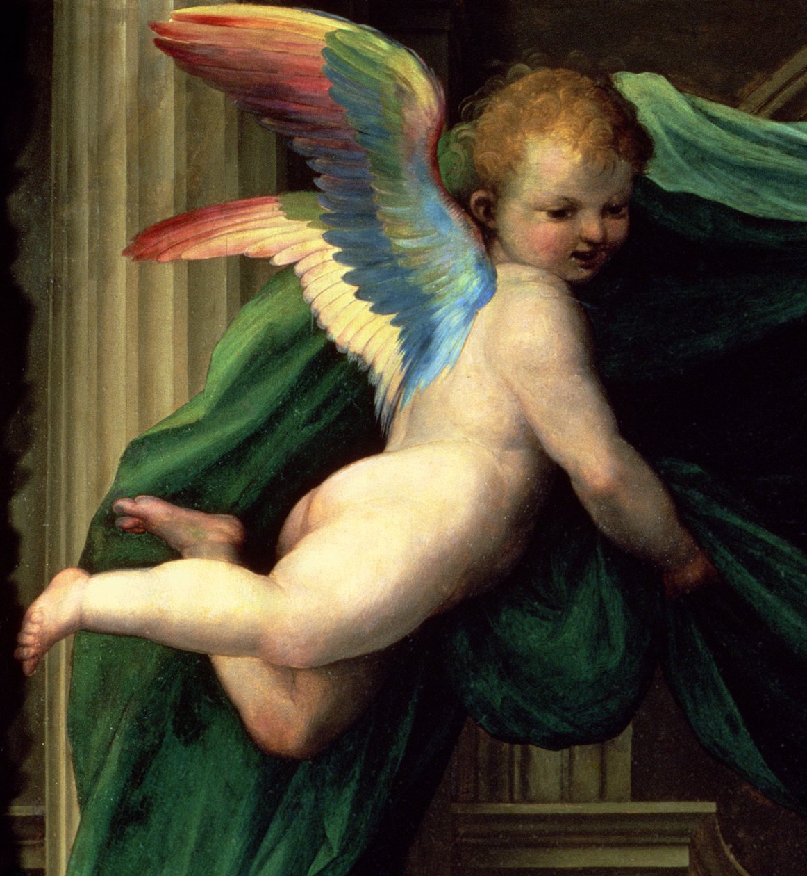 Katarina af Sienas mystiske ægteskab med hellige, detalje af en engel, 1511 olie på paneldetalje af 93870 af Fra Bartolommeo
