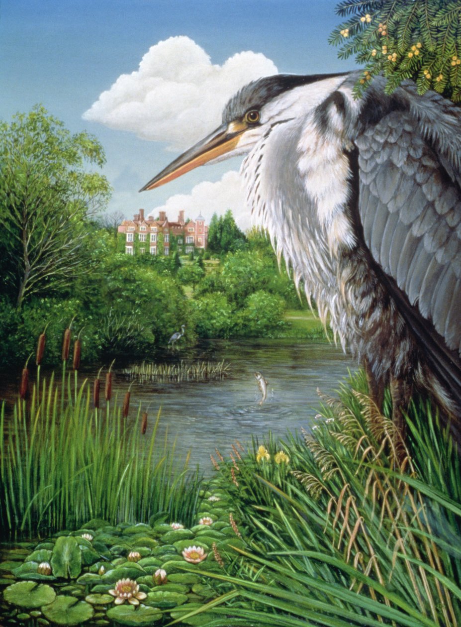 Herons at Chilham, 1986 (olie og tempera på panel) af Frances Broomfield