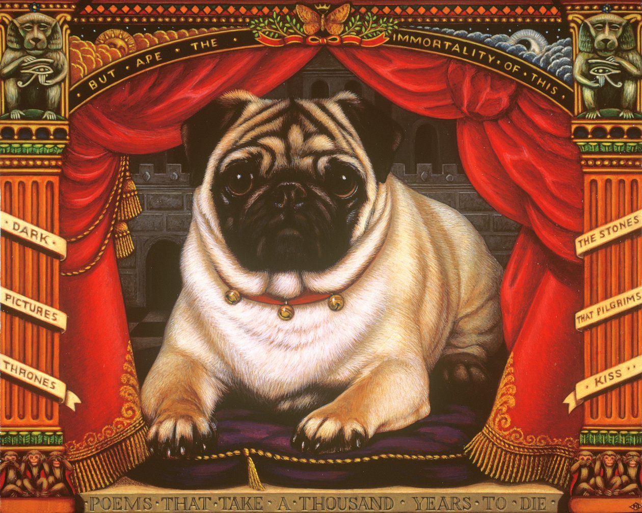 Nabokovs Pug, 2006 (olie og tempera på panel) af Frances Broomfield